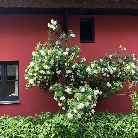 Tasteful With Terrace Lejlighed Rostock
